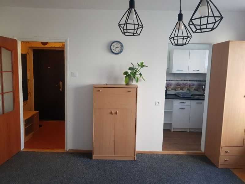 Cozy 28m² Studio Apartment in Grunwald - Great Location