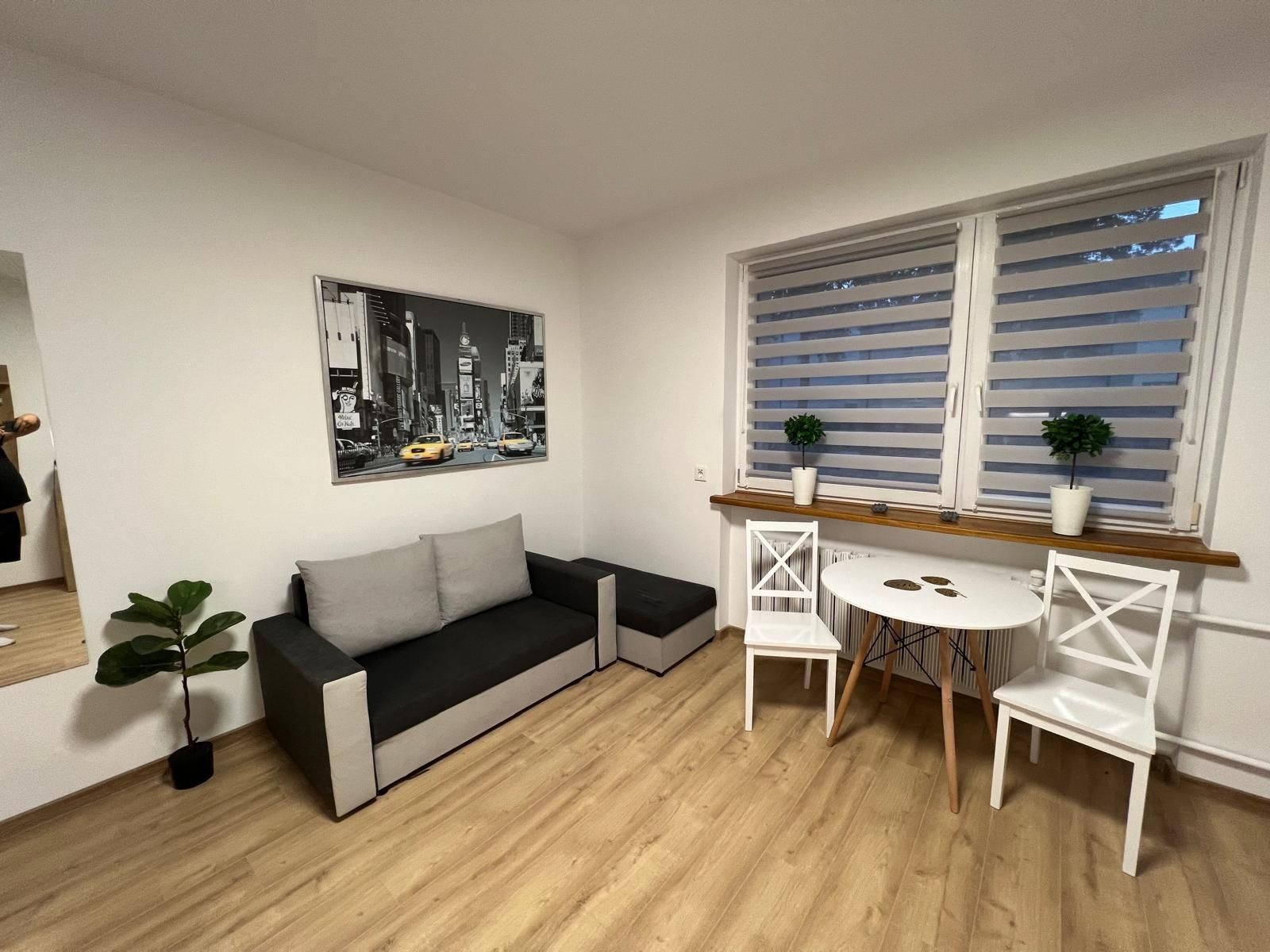 Newly Renovated Studio Apartment in Lublin