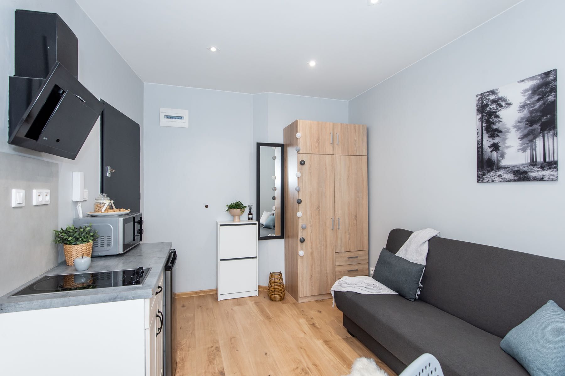 Stylish Studio Apartment in Poznań Łazarz District
