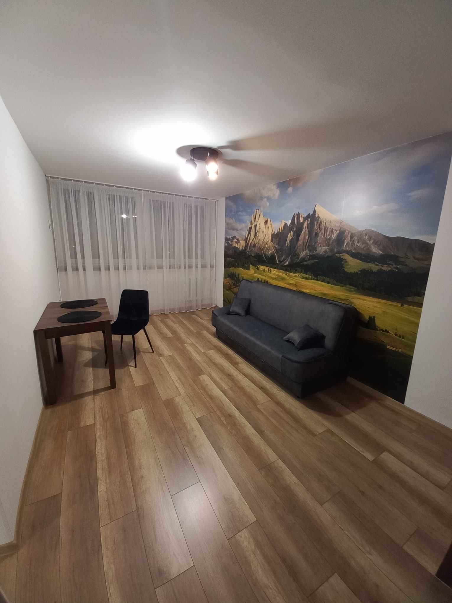 Renovated Two-Bedroom Apartment with Modern Kitchen