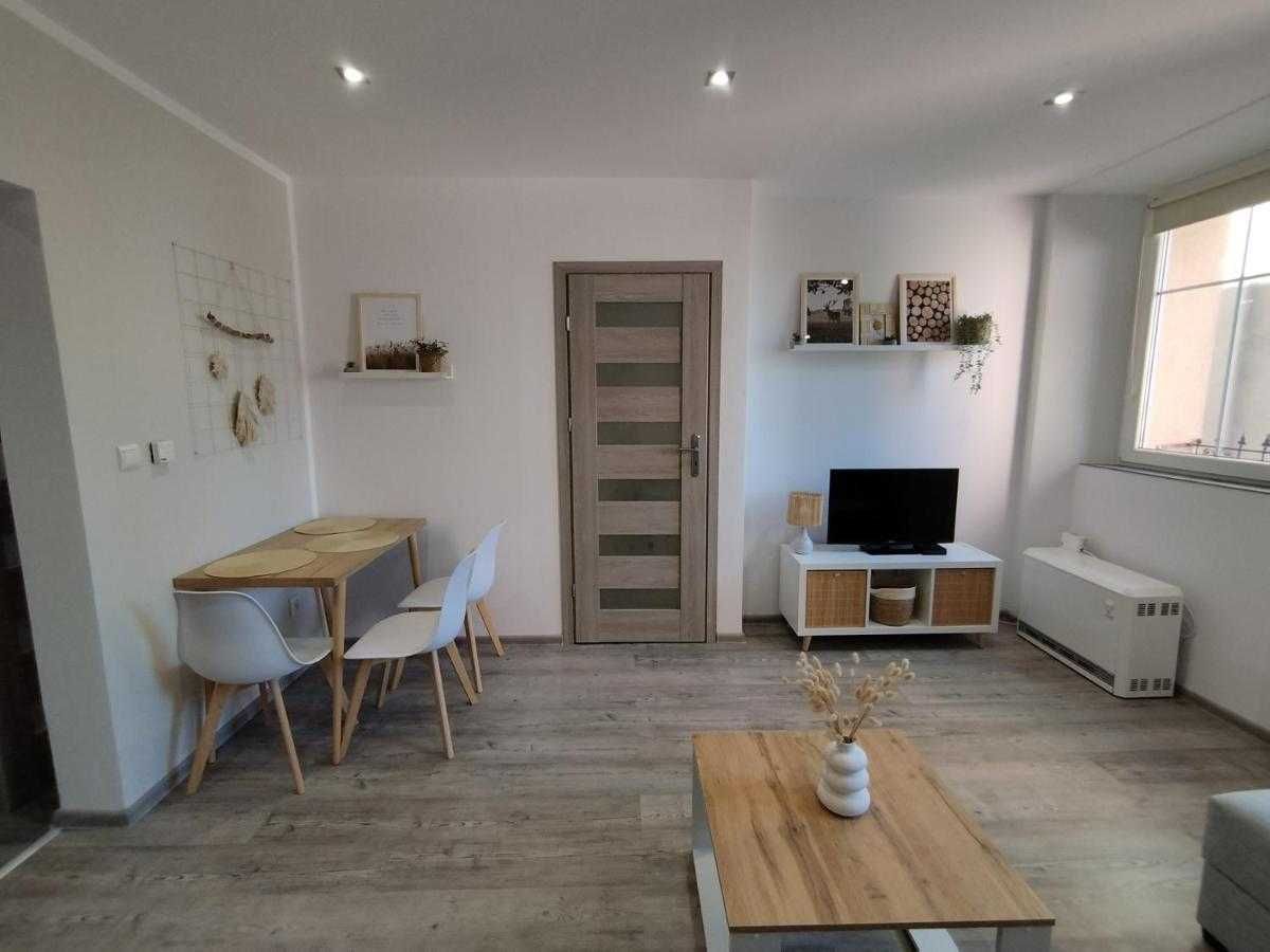 Cozy Studio Apartment in Jelenia Góra City Center