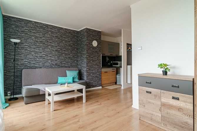 Pet-Friendly Bright Studio Apartment near Witosa Street