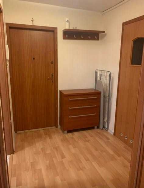 Bright 2-Room Apartment with Balcony in Sadyba