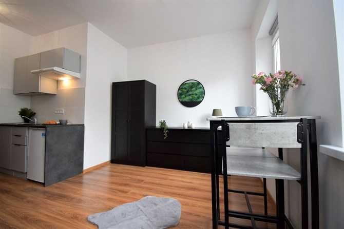 Functional Pet-Friendly Mini Studio Apartment in Wałbrzych
