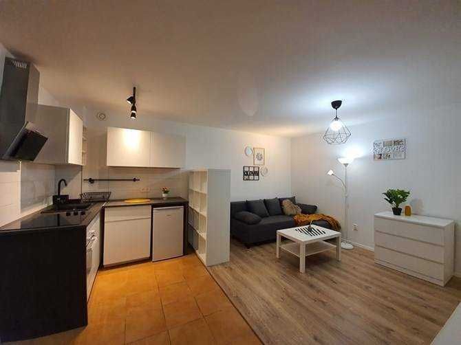 Furnished Studio Apartment in 5-Story Building, Pet-Friendly