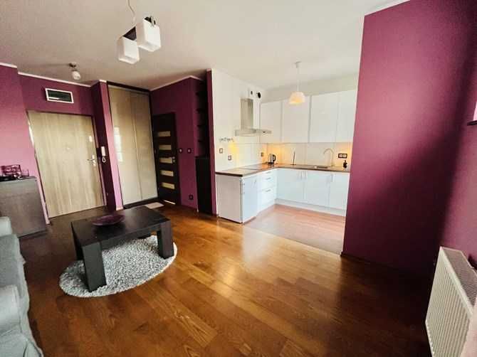 Pet-Friendly Studio Apartment in Poznań's Winogrady District