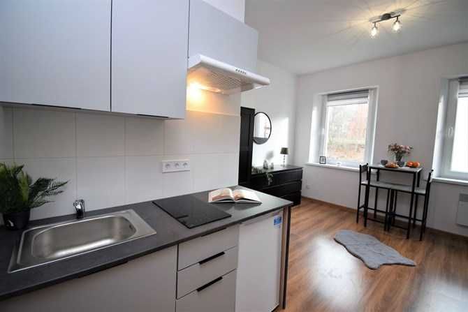 Functional Pet-Friendly Mini Studio Apartment in Wałbrzych