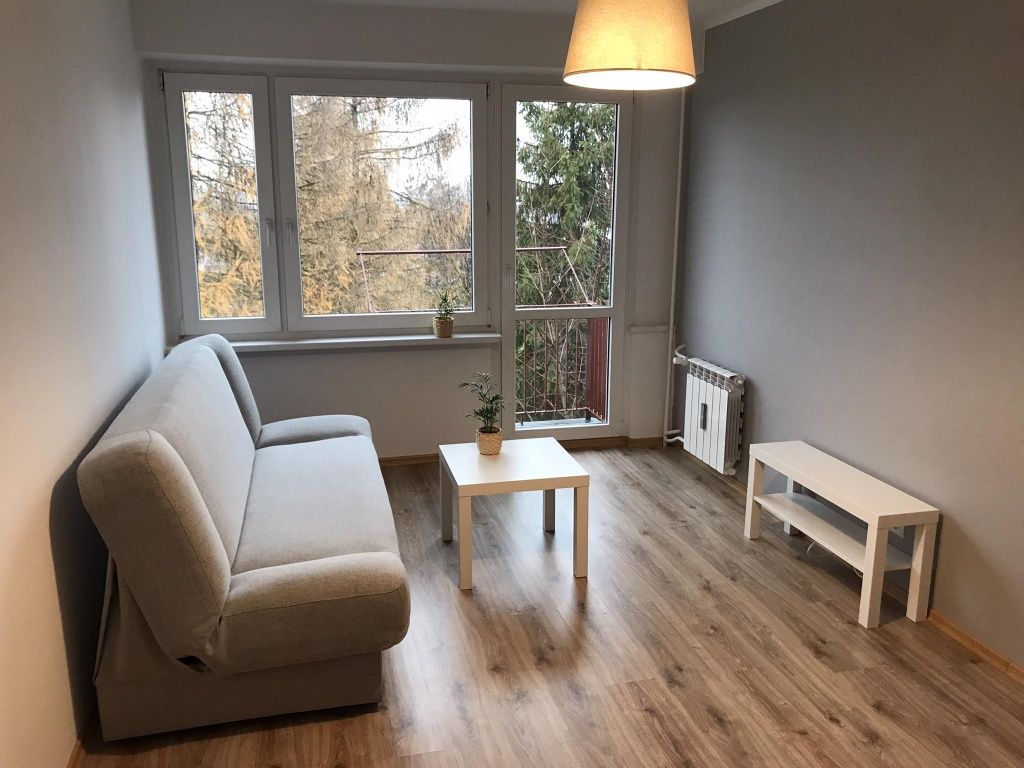 Renovated 2-Room Apartment Near Park with Balcony and Mountain View