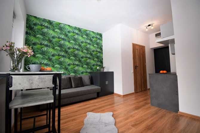 Functional Pet-Friendly Mini Studio Apartment in Wałbrzych