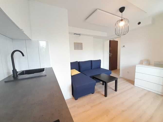 Bright, Spacious Pet-Friendly Apartment in Katowice
