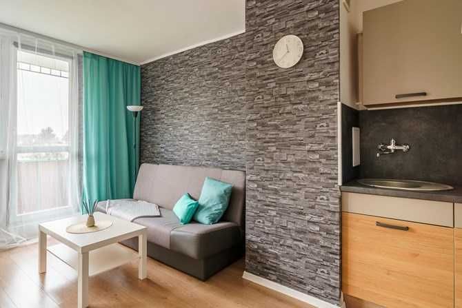 Pet-Friendly Bright Studio Apartment near Witosa Street