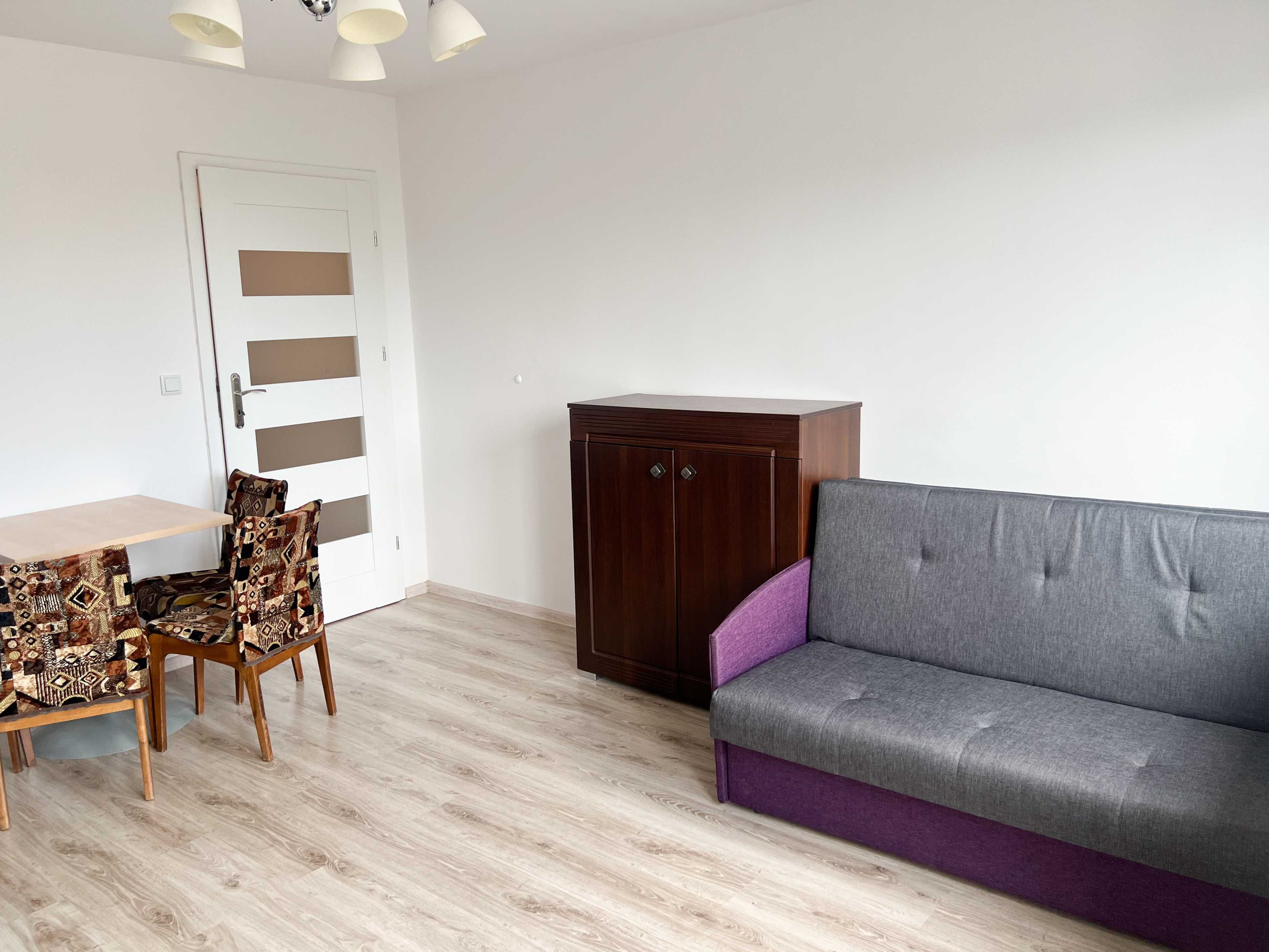 2-Room Apartment in Poznań, Klonowa Street, Pet-Friendly