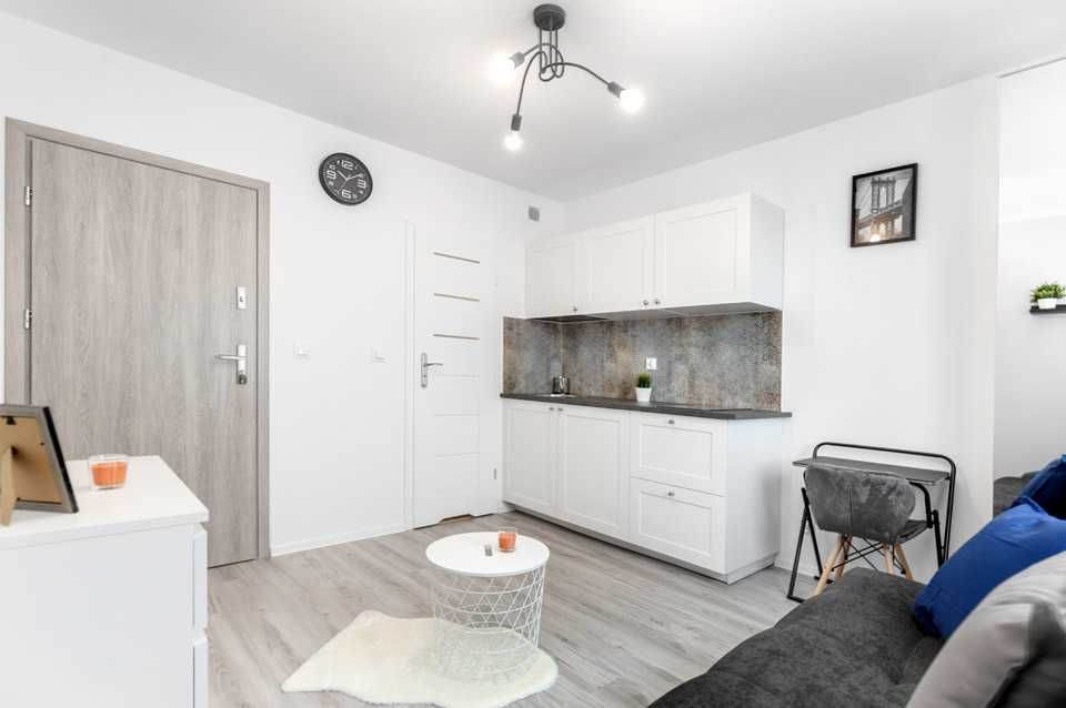 Modern Studio Apartment with New Furnishings