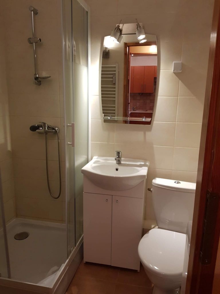 Cozy Studio Apartment in Winogrady, Poznań