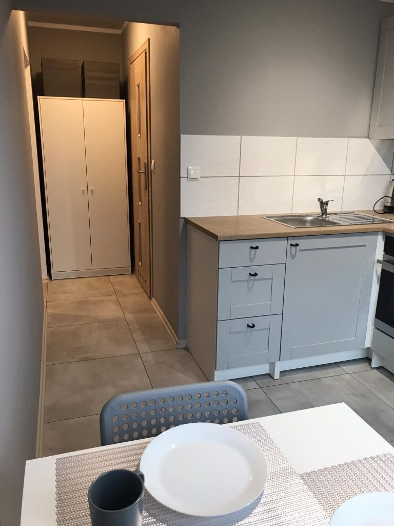 Renovated 2-Room Apartment Near Park with Balcony and Mountain View