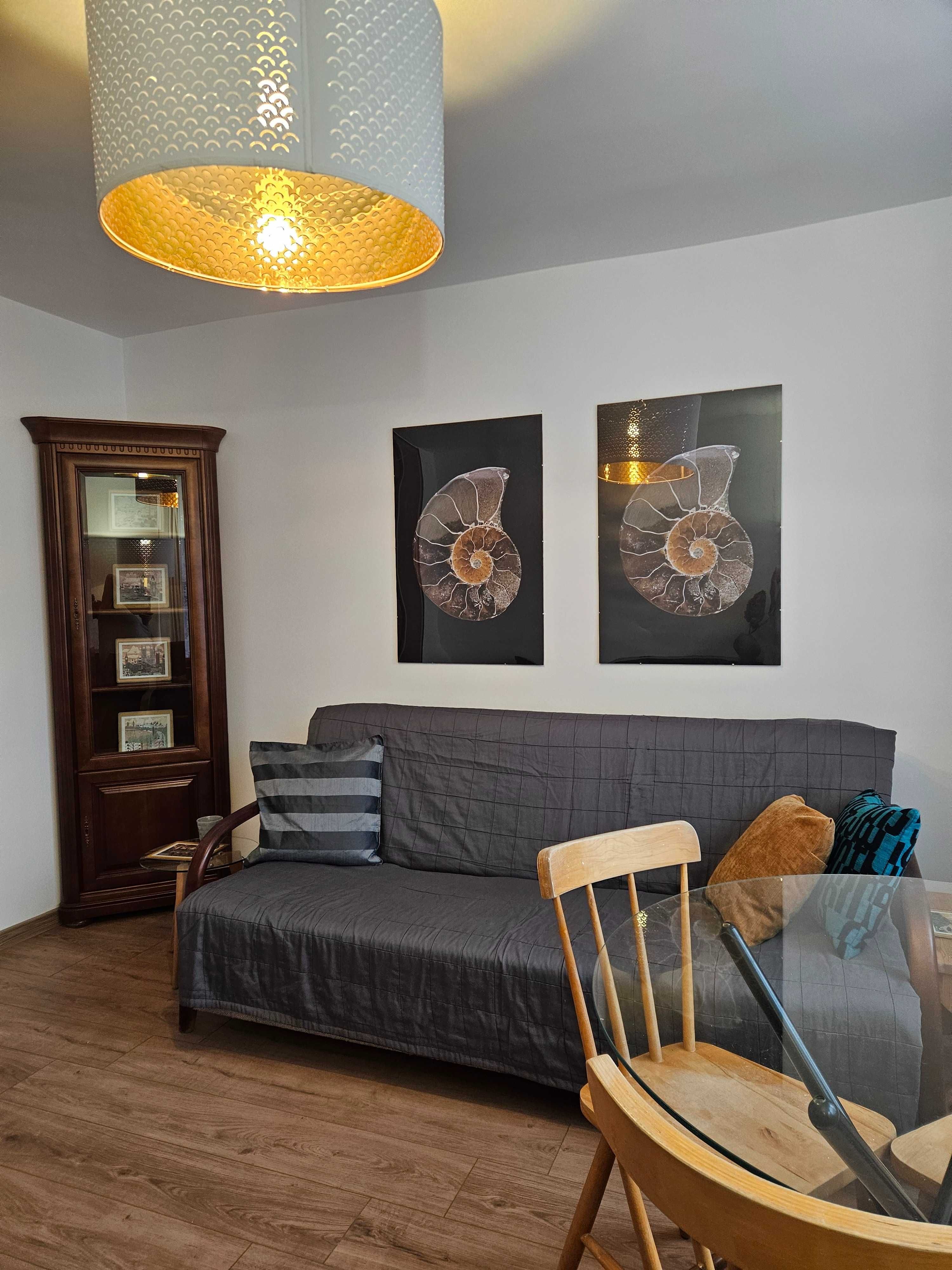 Renovated 40m² Apartment Near Park with Full Amenities
