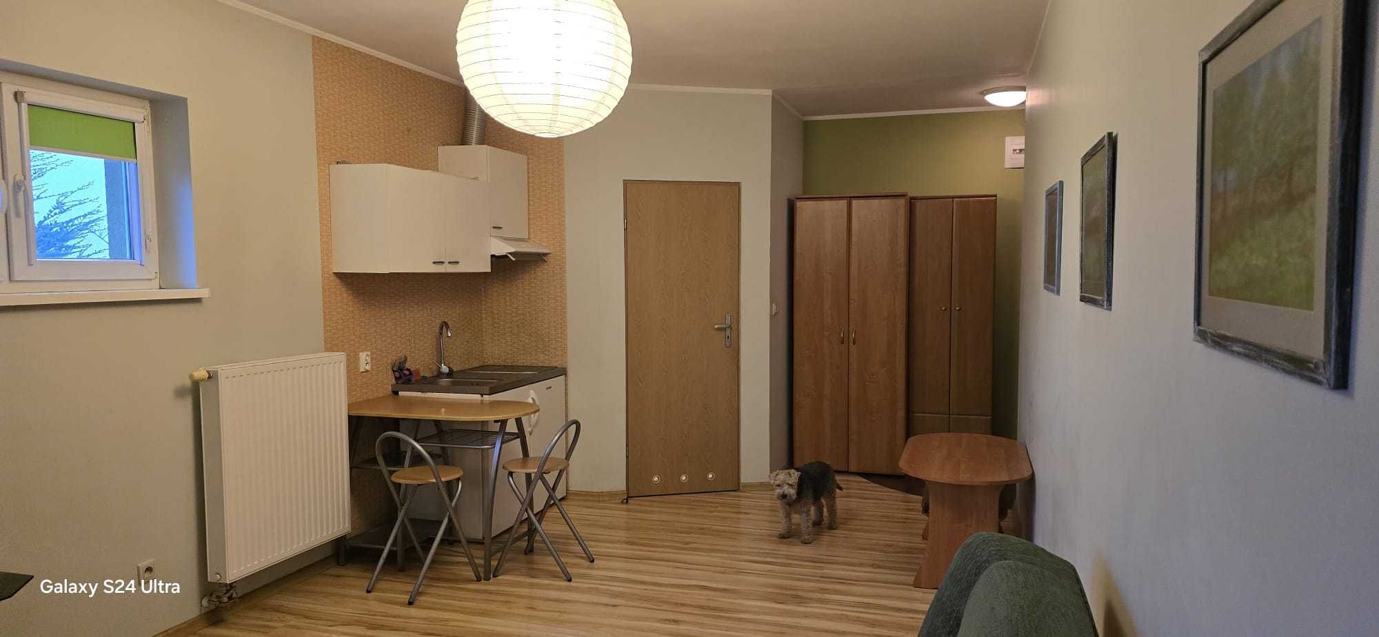 Studio Apartment 28 m2 in Suchy Las, Ground Floor, Fully Equipped