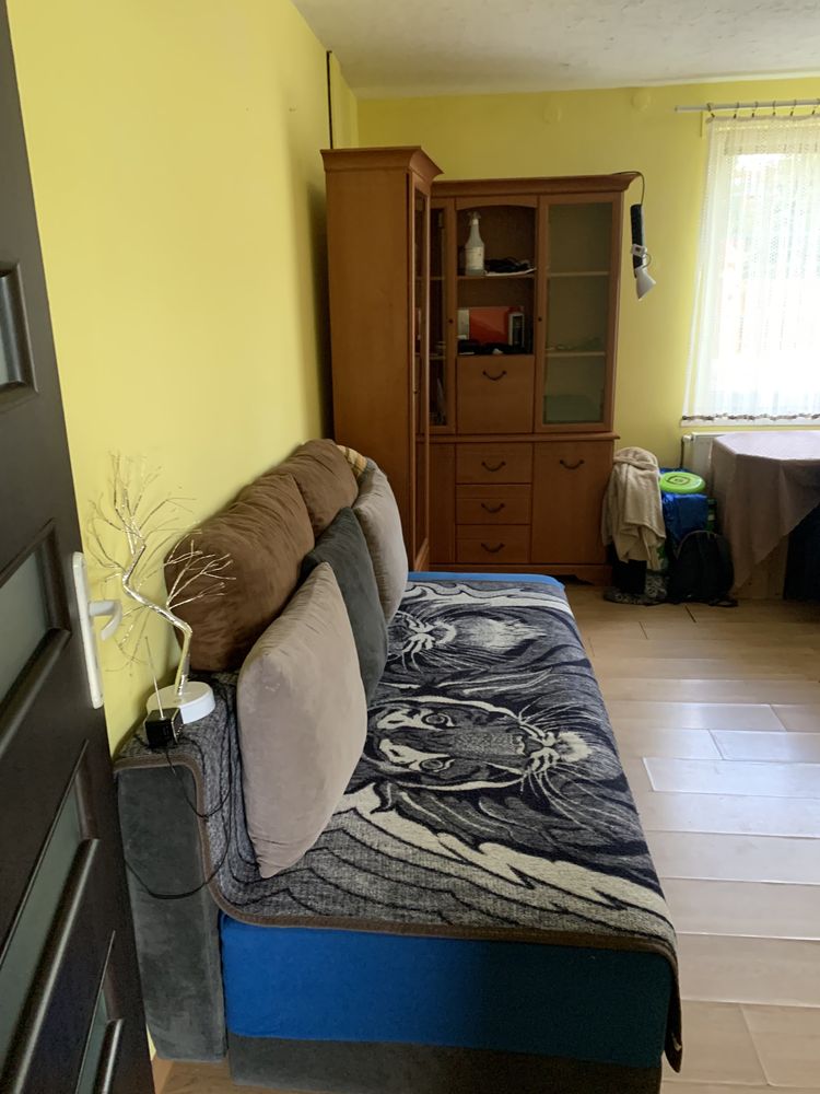 One-bedroom apartment in Pietrzykowice, fully furnished, heating included