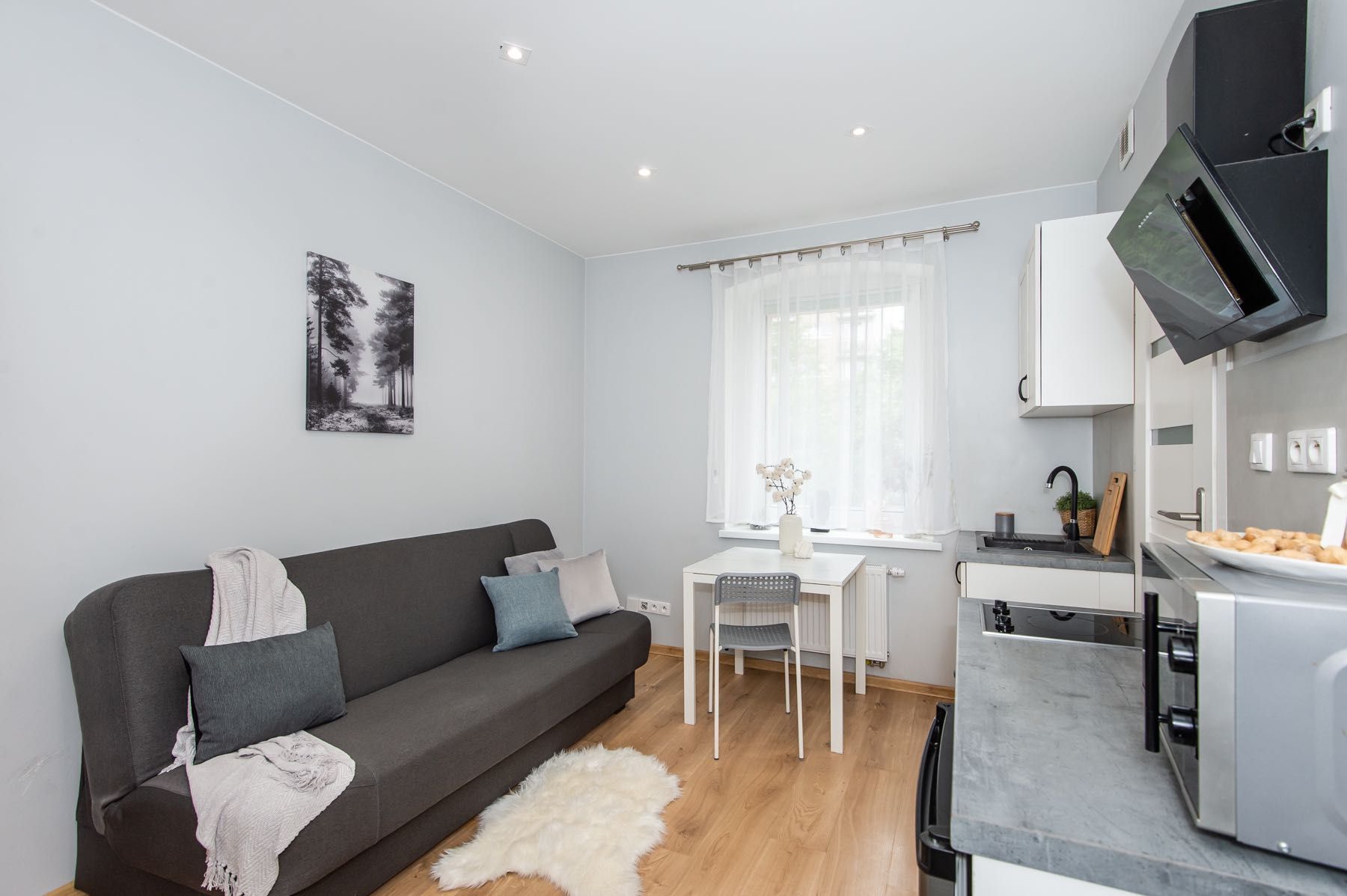 Stylish Studio Apartment in Poznań Łazarz District