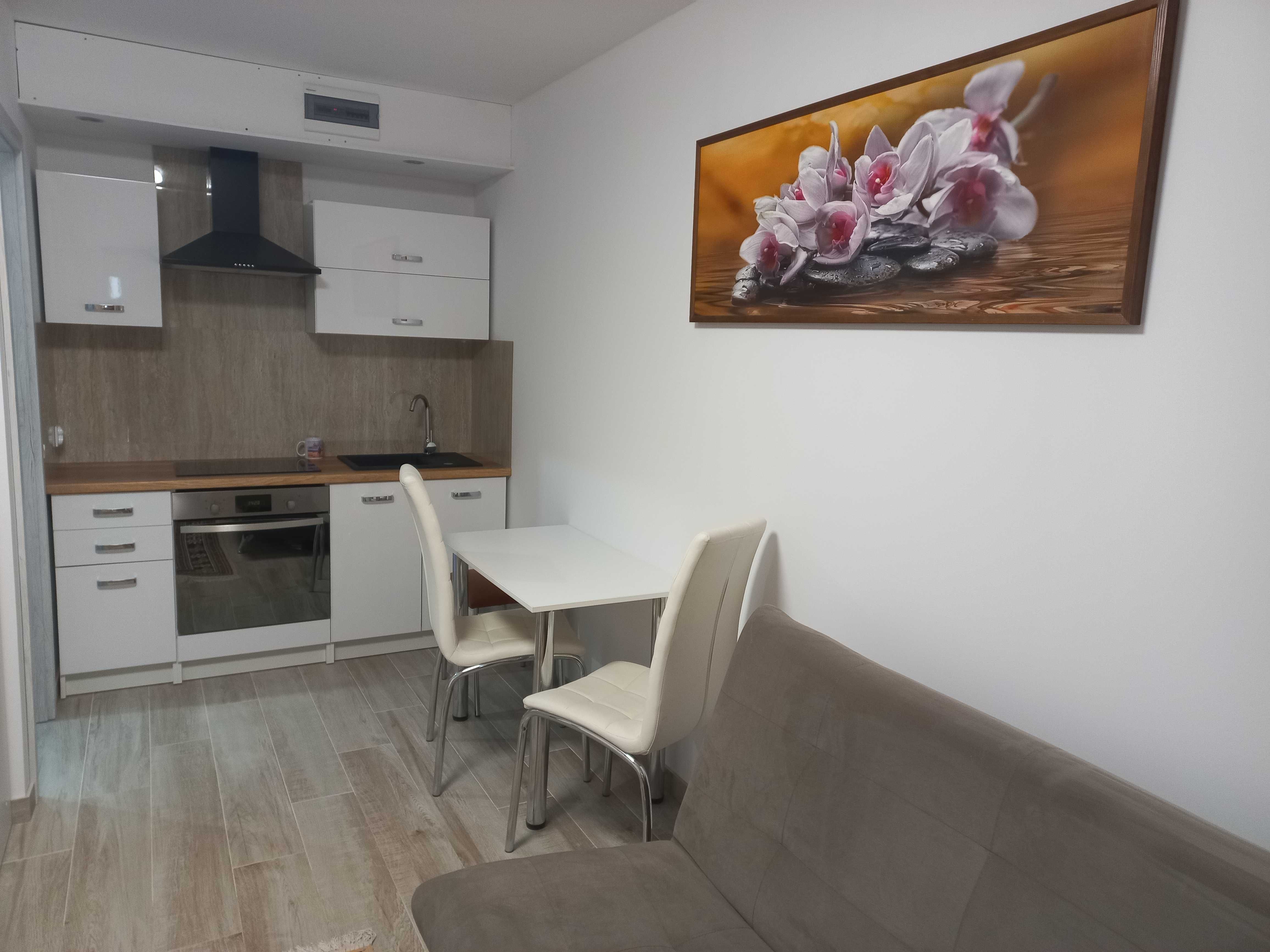 Studio Apartment on Lędzian Street, No Pets Allowed
