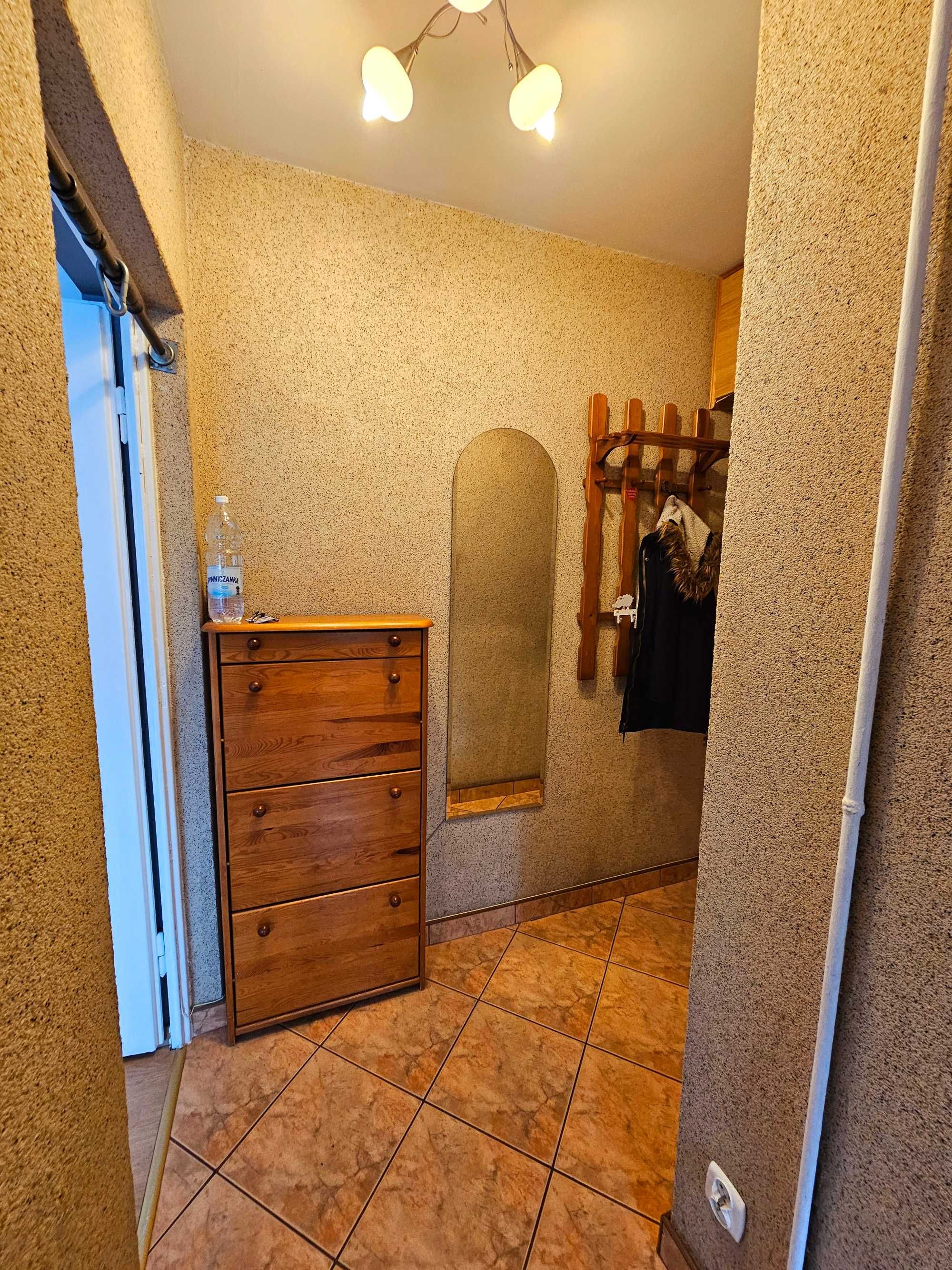 Modern 38m² Apartment with Two Rooms in Teofilów