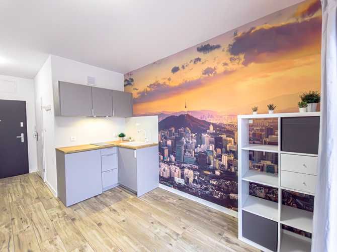 Compact Studio Apartment in Student District with City View