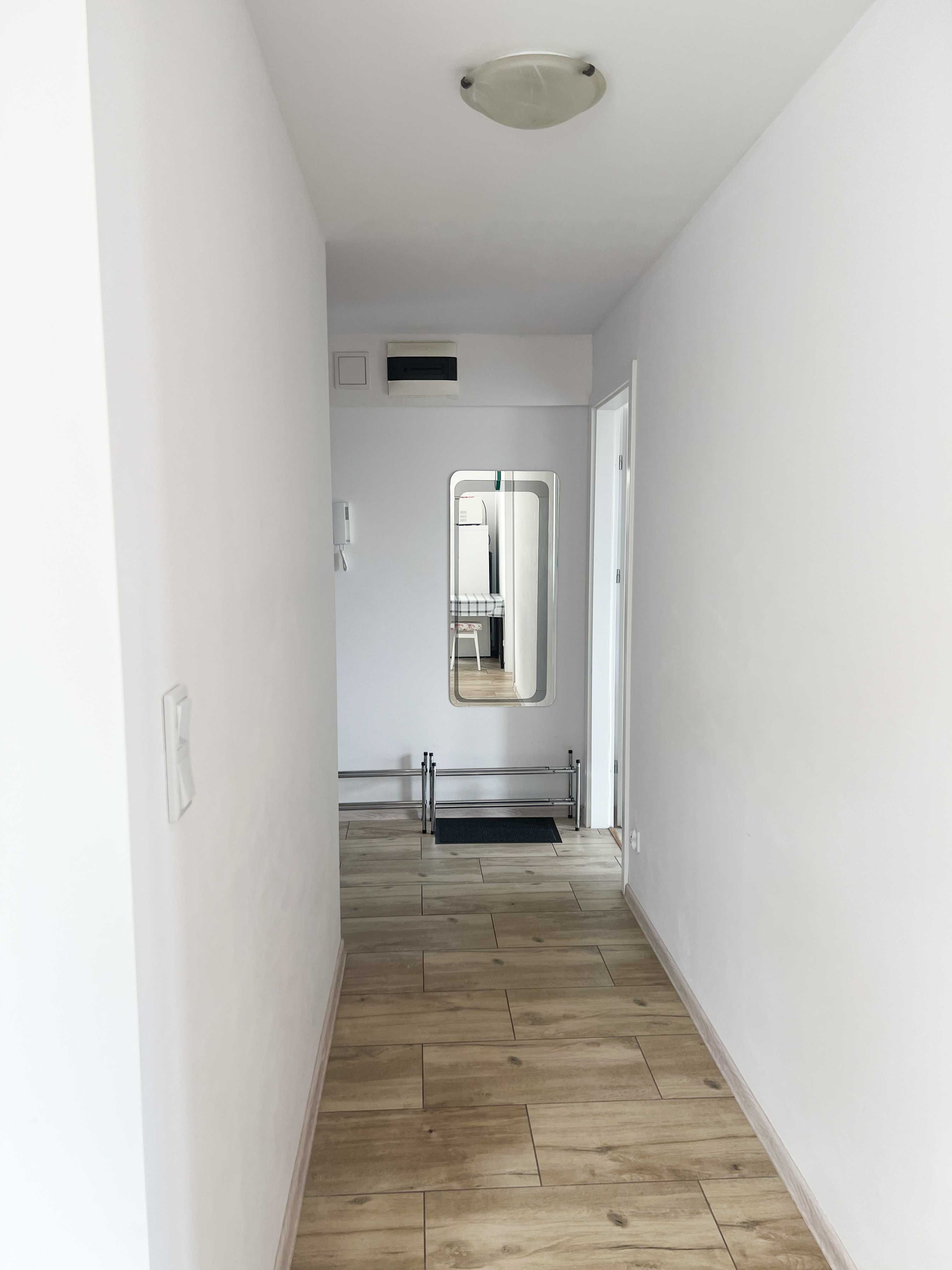 2-Room Apartment in Poznań, Klonowa Street, Pet-Friendly