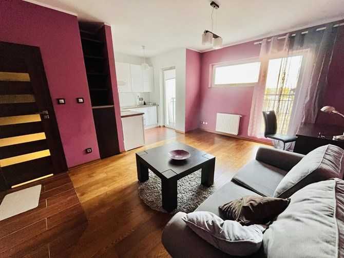 Pet-Friendly Studio Apartment in Poznań's Winogrady District