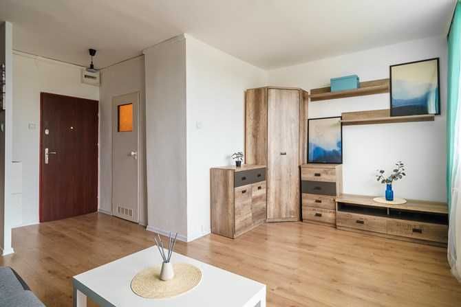 Pet-Friendly Bright Studio Apartment near Witosa Street