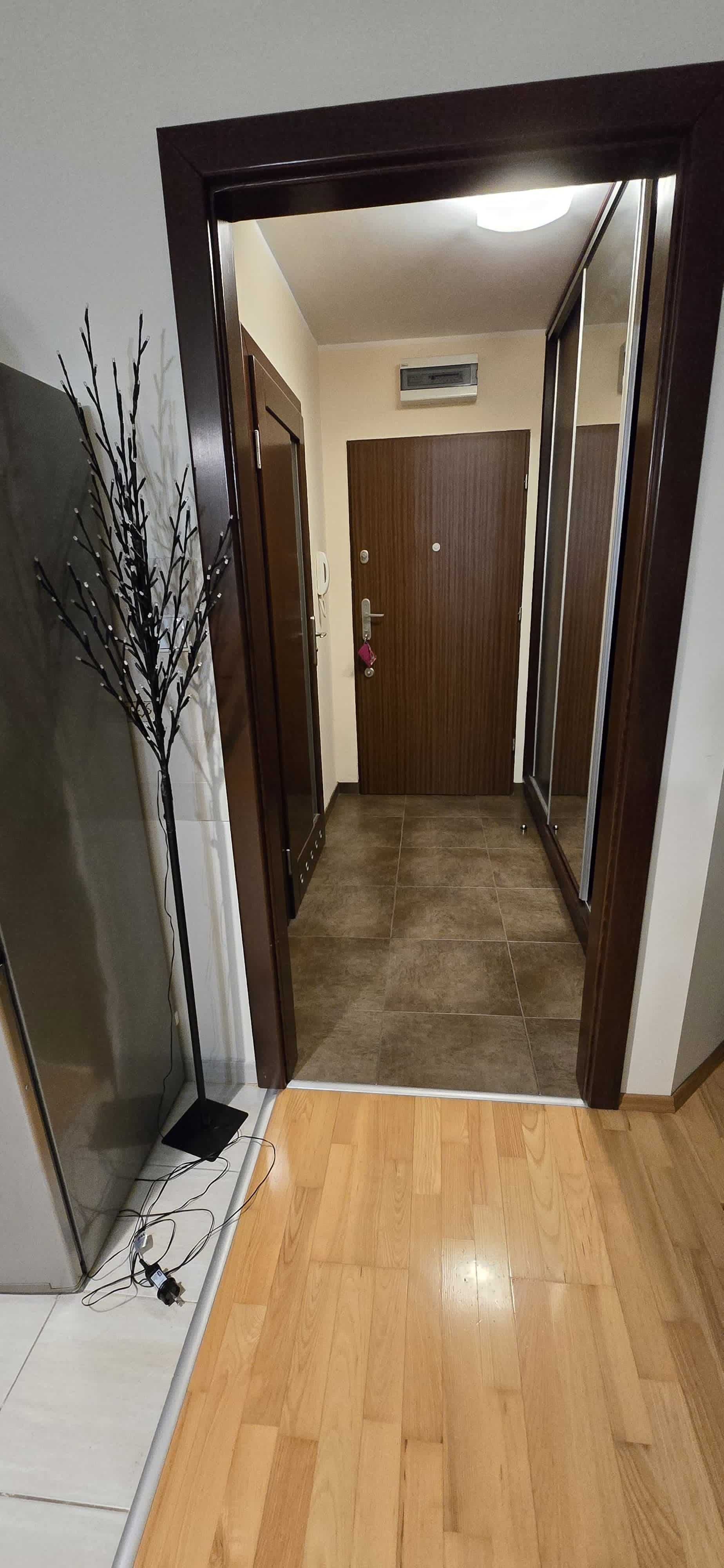 Spacious Studio Apartment near Aquapark and Park Andersa