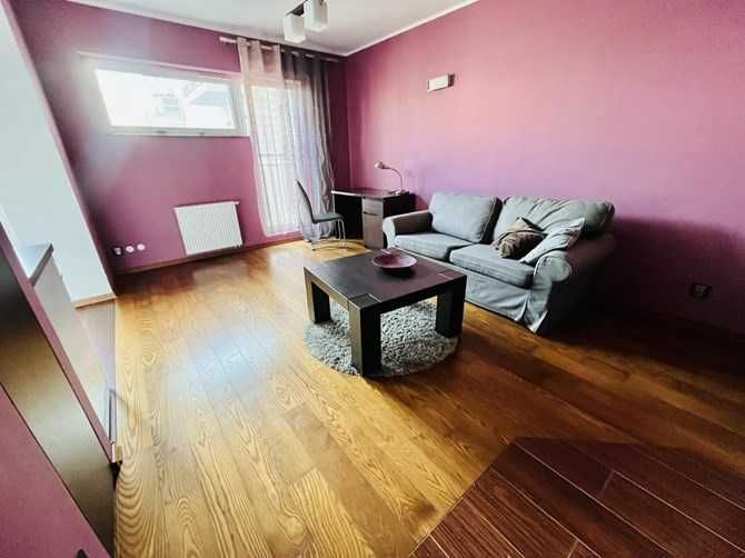 Pet-Friendly Studio Apartment in Poznań's Winogrady District
