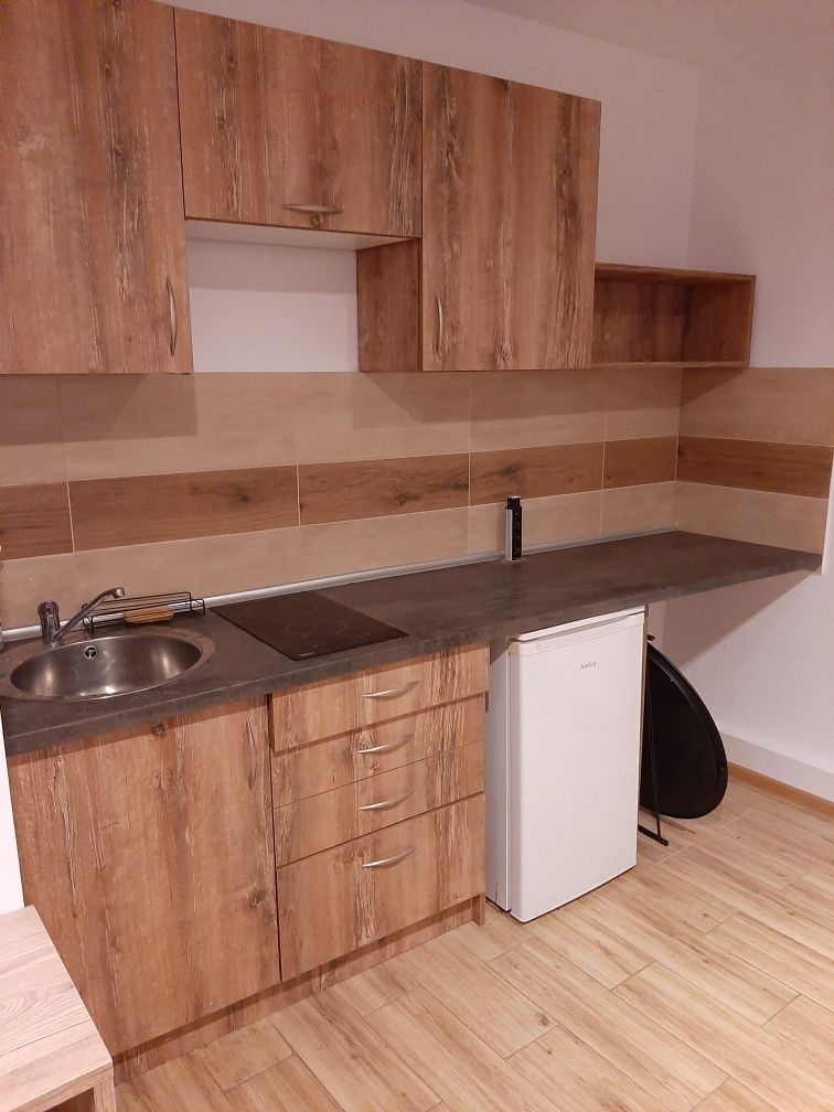Modern Studio Apartment in Torun Old Town