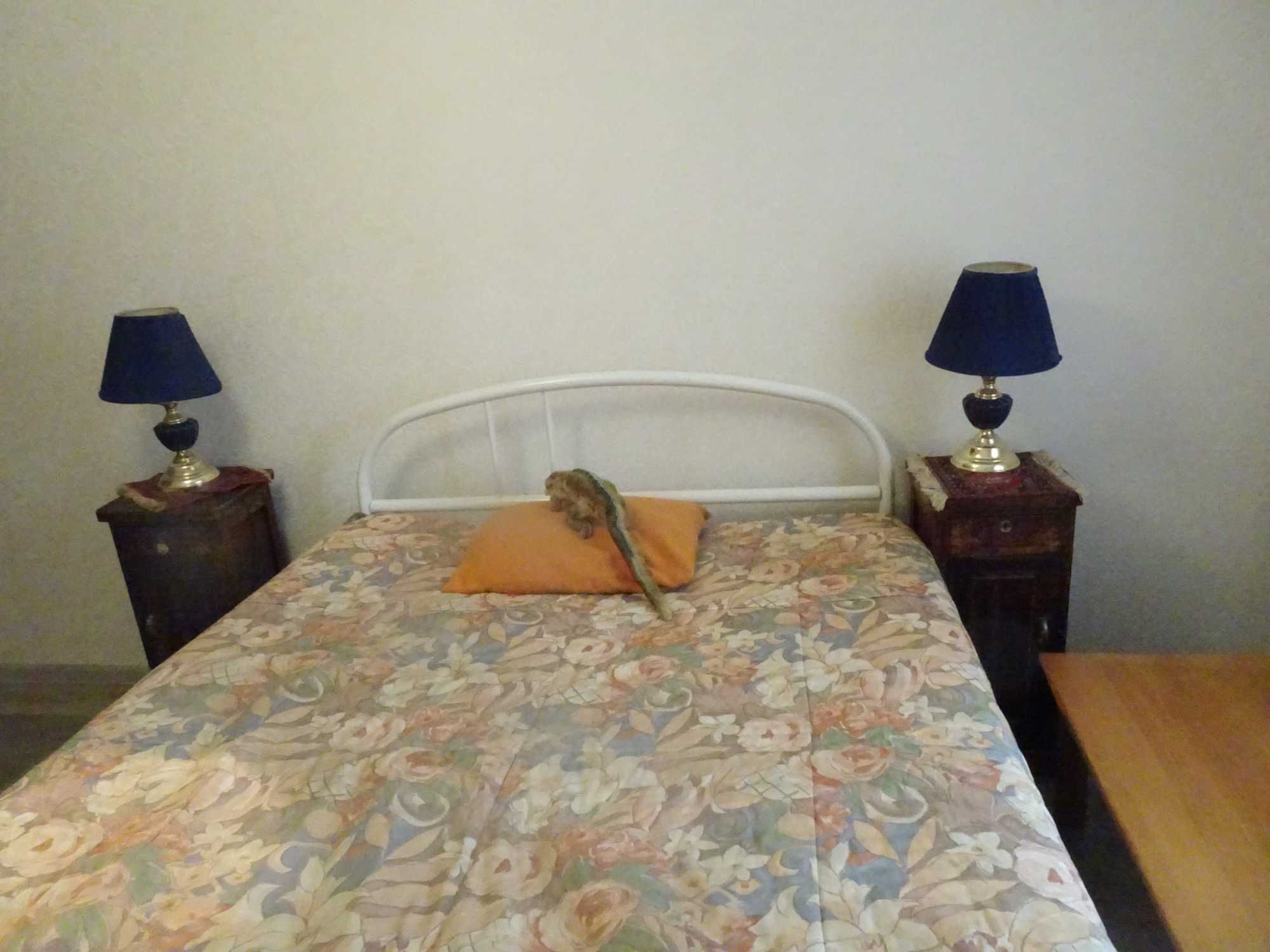 Renovated 2-Bedroom Apartment Near Nivki Metro