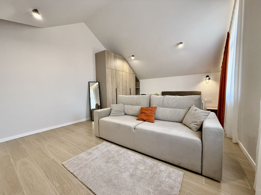 One-bedroom apartment in Uzhhorod with full furnishing