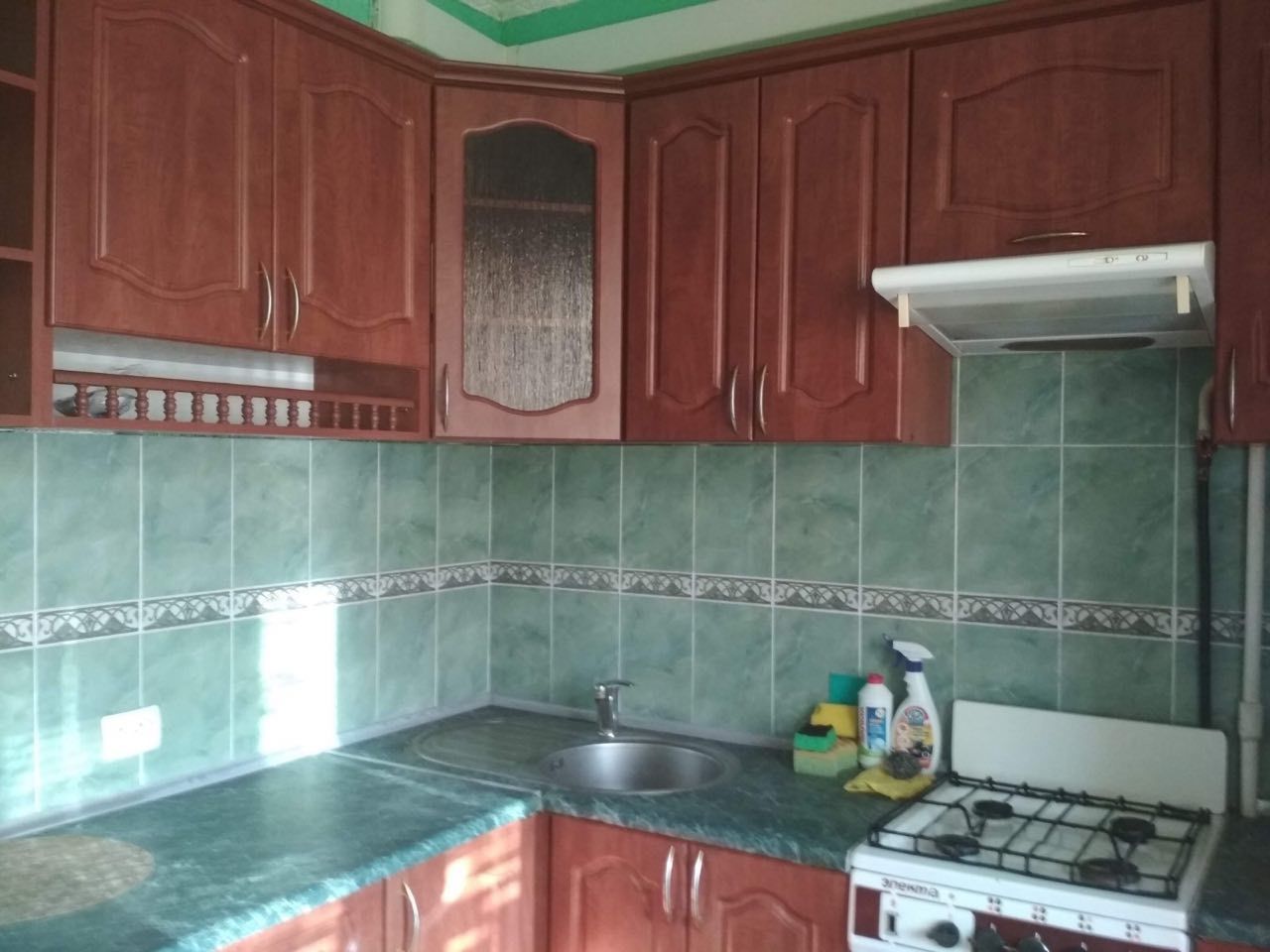One-bedroom apartment on Chervonoi Kalyny Street, near metro and park zone