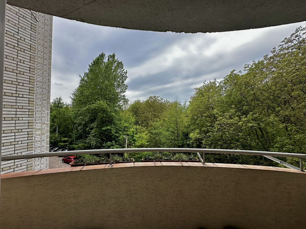 Spacious Apartment Near Stryi Park with Panoramic Windows and Forest View