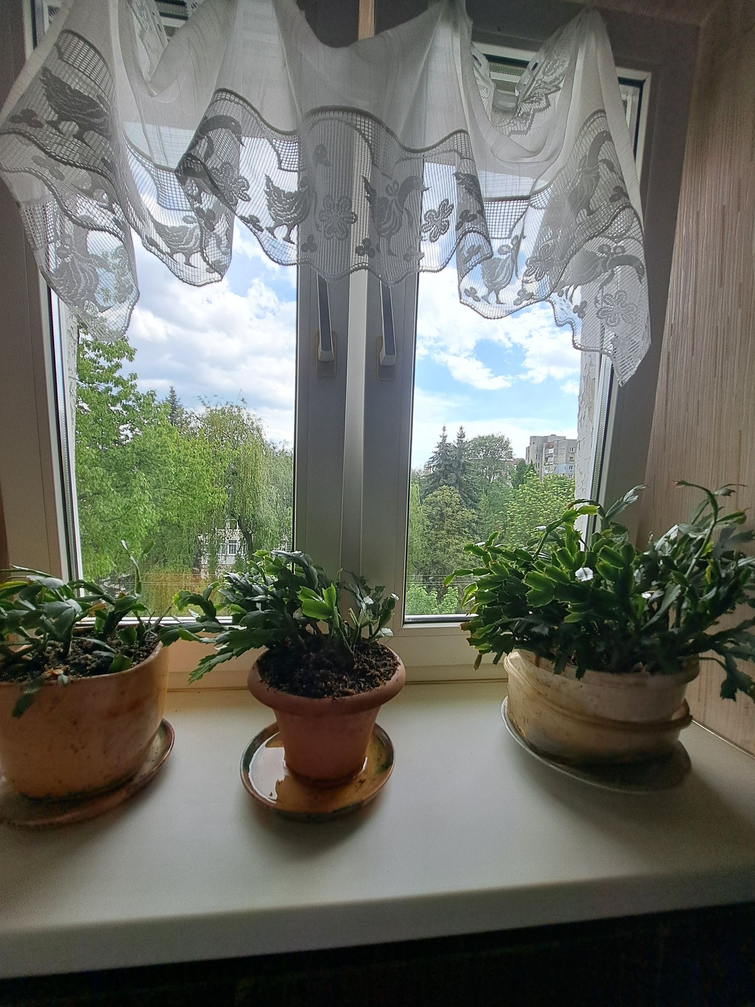 Cozy 1-bedroom apartment on Hotkevycha Street with convenient location