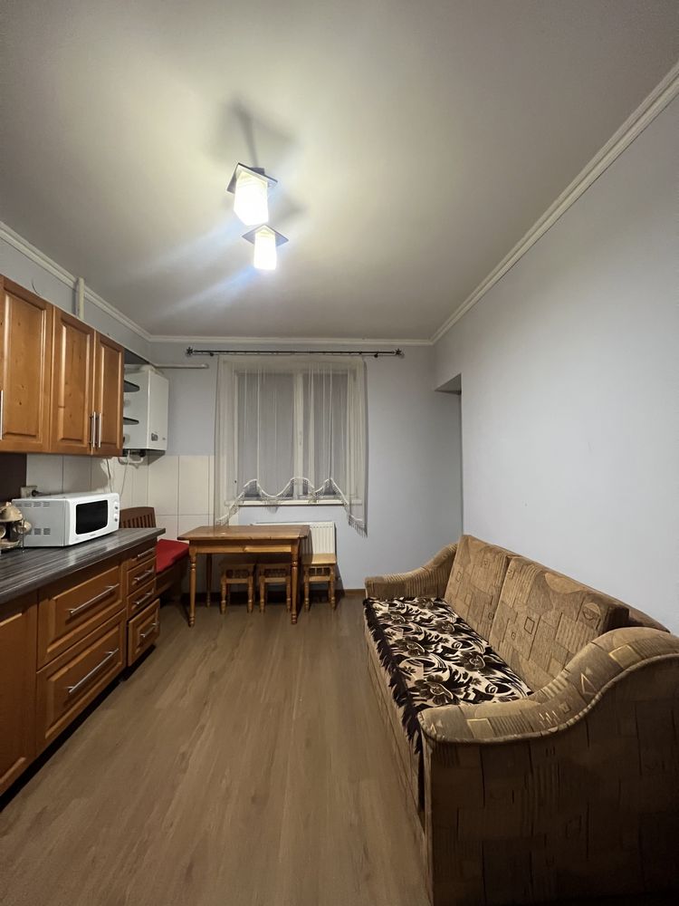 Renovated One-Bedroom Apartment with Modern Kitchen
