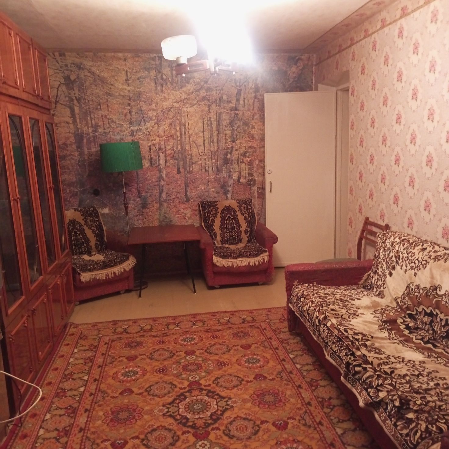 1-Room Apartment with Utilities Near Typography District