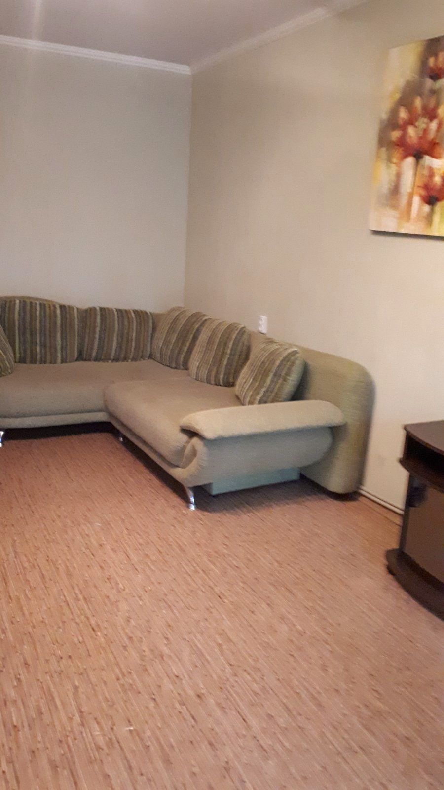 Furnished Apartment with Gas Heating and Appliances