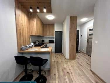 Spacious 1-Bedroom Apartment with Studio Kitchen in New Building
