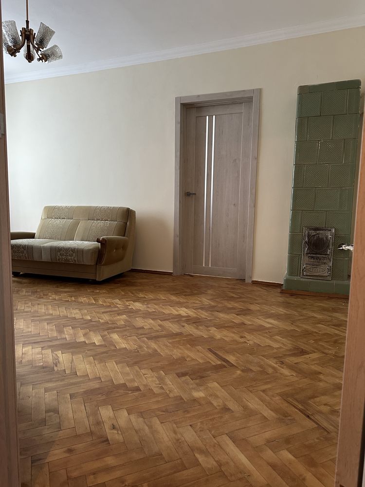 Renovated Two-Room Apartment with Garage in Pasichna