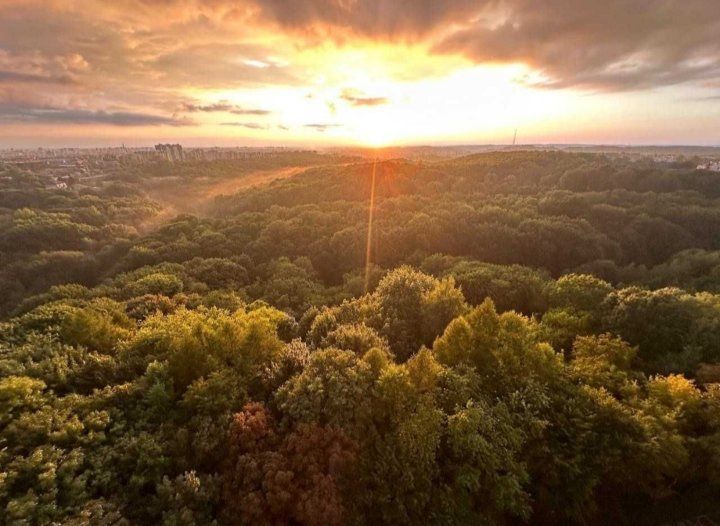 Luxury Apartment in Lychakiv District with Park View