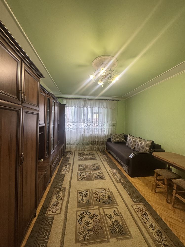 Spacious 1-Bedroom Apartment in Lviv City Center