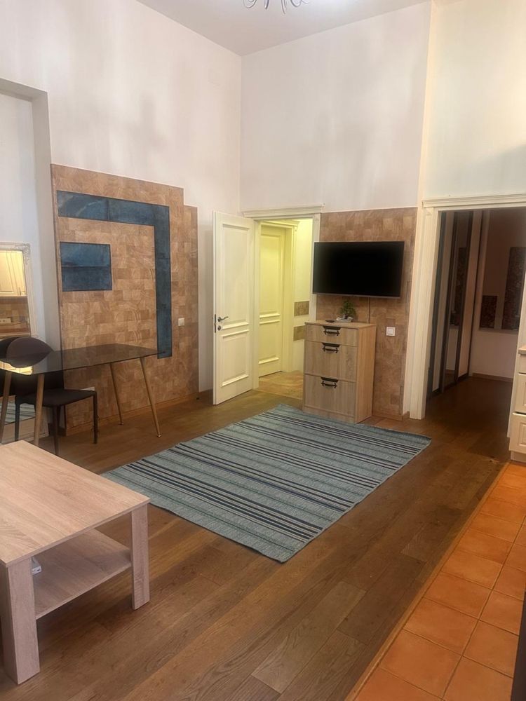 Spacious Apartment on Pushkin/Lanzheronovskaya Street