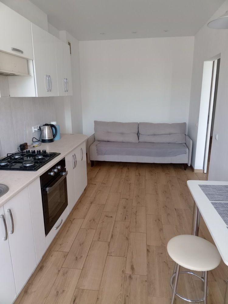 1-Bedroom Apartment in New Building Near City Hall