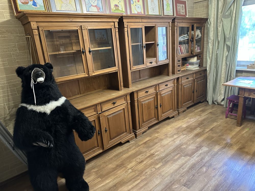 3-Room Apartment in Golosiyivskyi District, Near Subway