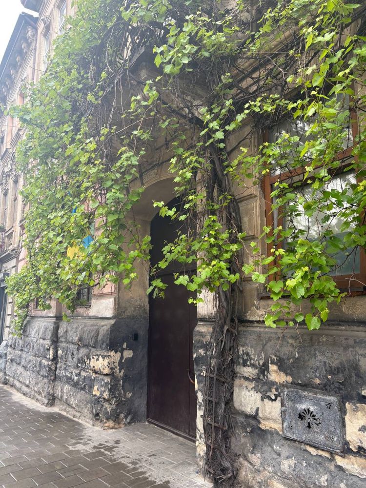 1-Room Apartment on Zamarstynovska Street, Central Location
