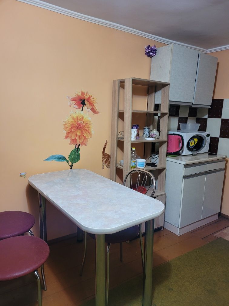1-бөлмелі пәтер жалға беріледі, Миру көшесі, екінші қабат
