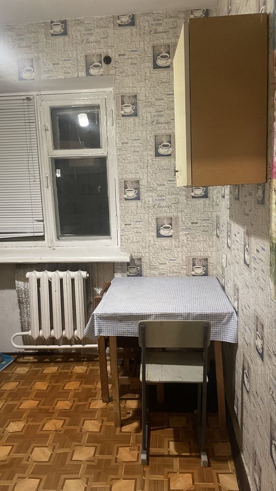 Renovated One-Bedroom Apartment in City Center